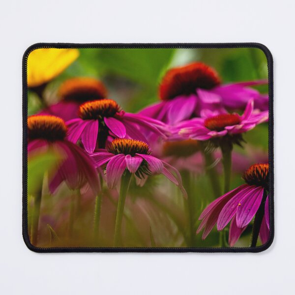 Item preview, Echinacea - Purple Coneflower. designed and sold by Michael Cummings.