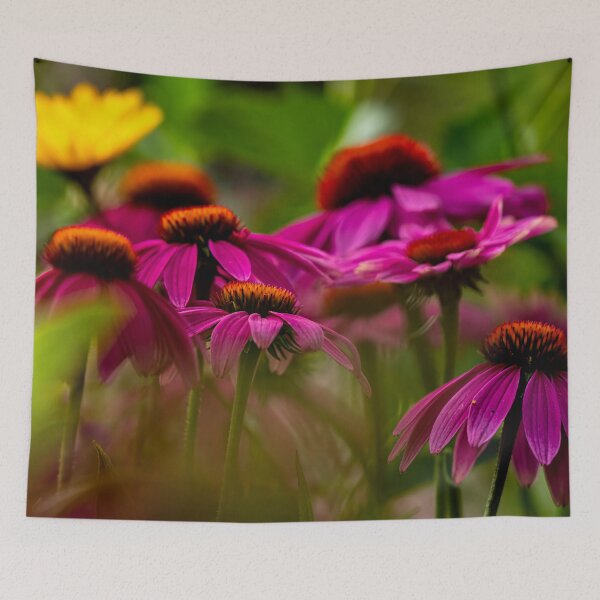 Item preview, Echinacea - Purple Coneflower. designed and sold by Michael Cummings.