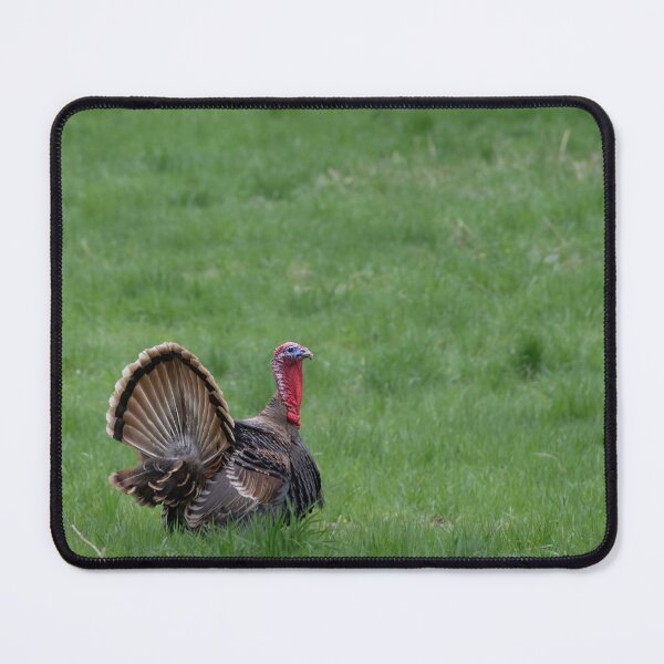 Item preview, A Turkey designed and sold by Calidris Fotografie Steffi & Ben Köppler.