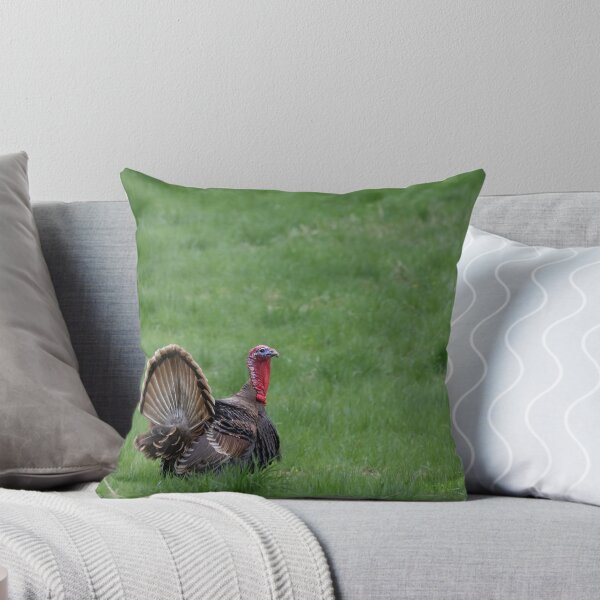 Item preview, A Turkey designed and sold by Calidris Fotografie Steffi & Ben Köppler.