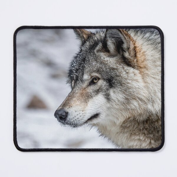 Item preview, Timber Wolf designed and sold by Michael Cummings.