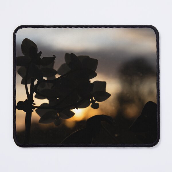 Item preview, Orchid in Sunrise designed and sold by Calidris Fotografie Steffi & Ben Köppler.
