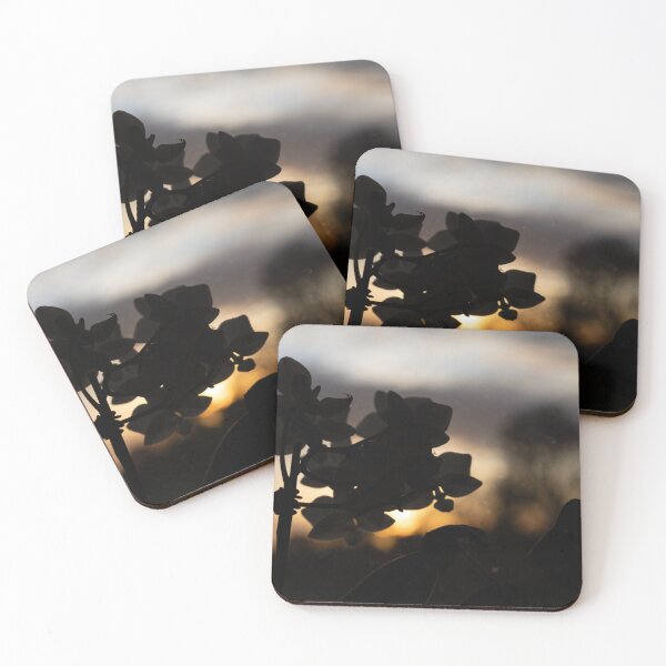 Item preview, Orchid in Sunrise designed and sold by Calidris Fotografie Steffi & Ben Köppler.
