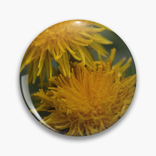 Item preview, Dandelion designed and sold by Calidris Fotografie Steffi & Ben Köppler.