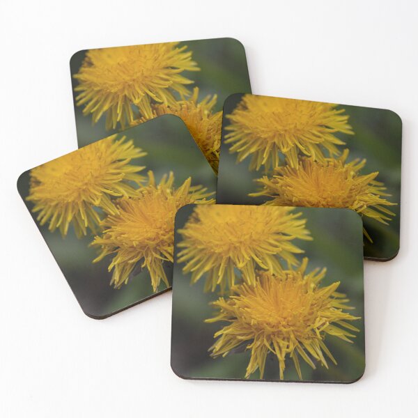 Item preview, Dandelion designed and sold by Calidris Fotografie Steffi & Ben Köppler.