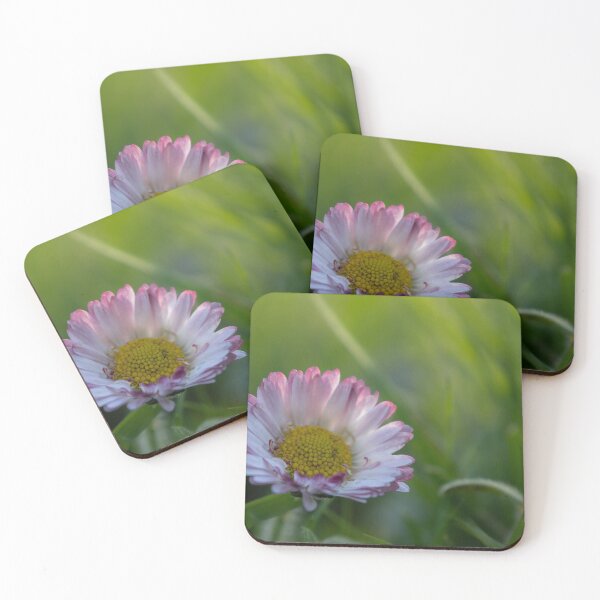 Item preview, Daisy designed and sold by Calidris Fotografie Steffi & Ben Köppler.