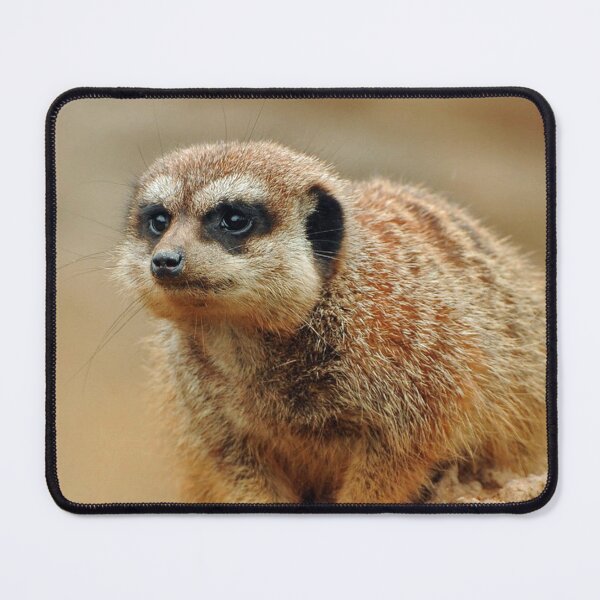 Item preview, Meerkat 066 designed and sold by JAMFoto.
