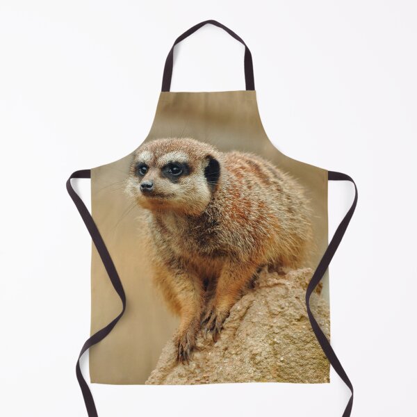 Item preview, Meerkat 066 designed and sold by JAMFoto.