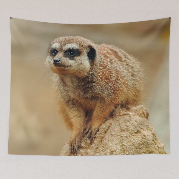 Item preview, Meerkat 066 designed and sold by JAMFoto.