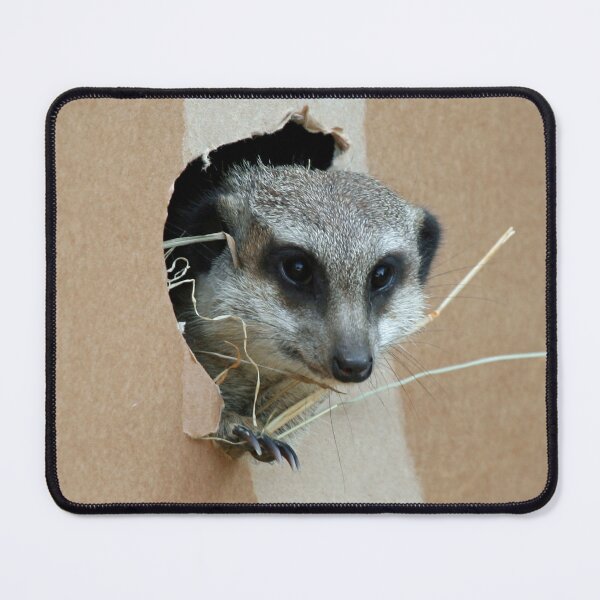 Item preview, Meerkat 071 designed and sold by JAMFoto.