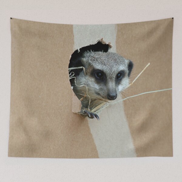 Item preview, Meerkat 071 designed and sold by JAMFoto.