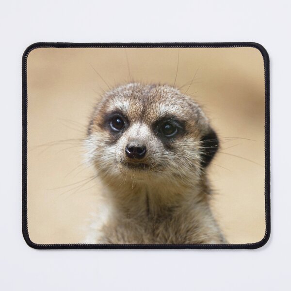 Item preview, Meerkat 069 designed and sold by JAMFoto.