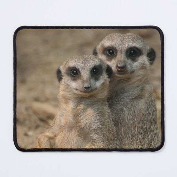 Item preview, Meerkat 067 designed and sold by JAMFoto.