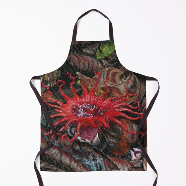 Item preview, Hongo de anémona de mar (Aseroe rubra) designed and sold by Anna Ratkevich.