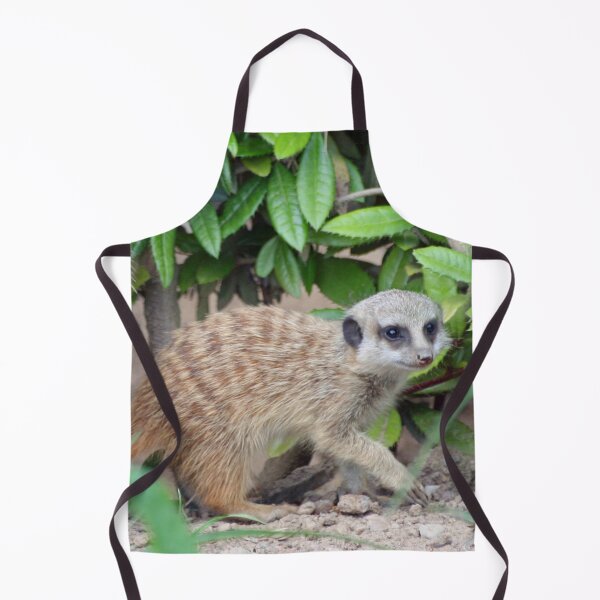 Item preview, Meerkat 065 designed and sold by JAMFoto.