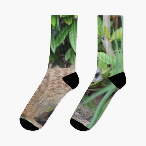 Item preview, Meerkat 065 designed and sold by JAMFoto.