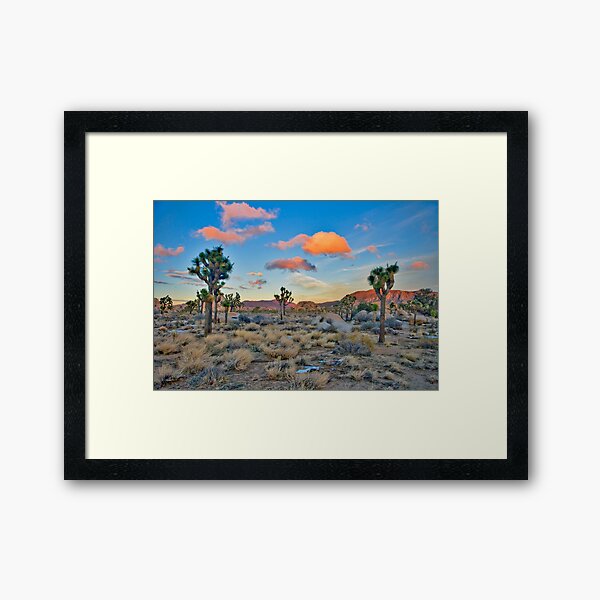 Pink Clouds Framed Art Print