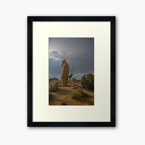 The Watcher Framed Art Print