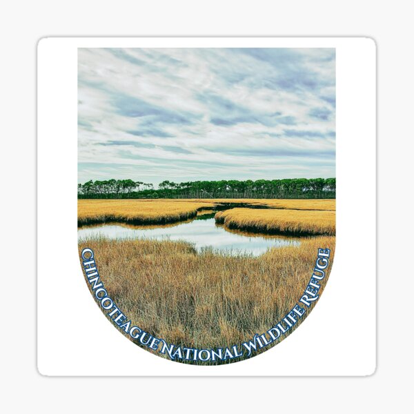 Item preview, Chincoteague National Wildlife Refuge Sticker designed and sold by lloving.