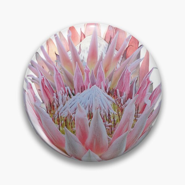Item preview, Protea flower lovers designed and sold by Yeyishop.