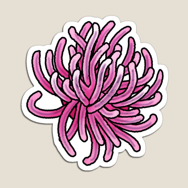 Item preview, Sea Anemone designed and sold by MapleSquidArts.