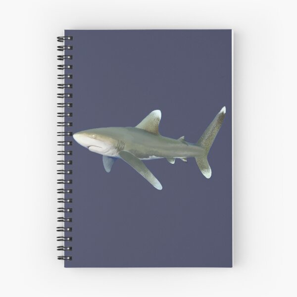 Item preview, Oceanic Whitetip Shark designed and sold by Aubree Parkinson.