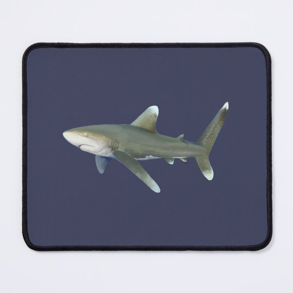 Item preview, Oceanic Whitetip Shark designed and sold by Aubree Parkinson.