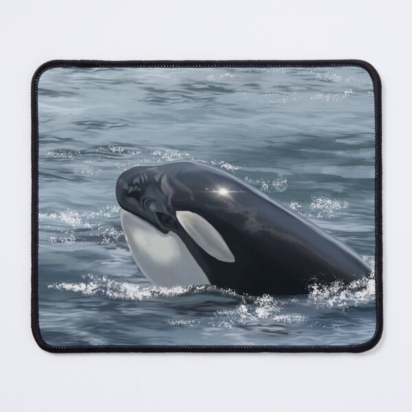 Item preview, Orca designed and sold by Aubree Parkinson.