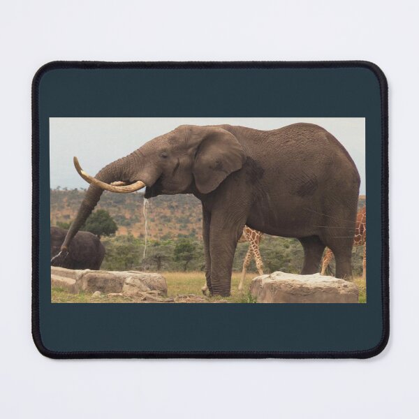 Item preview, Gigantic Elephant on a ranch designed and sold by annenambiro.
