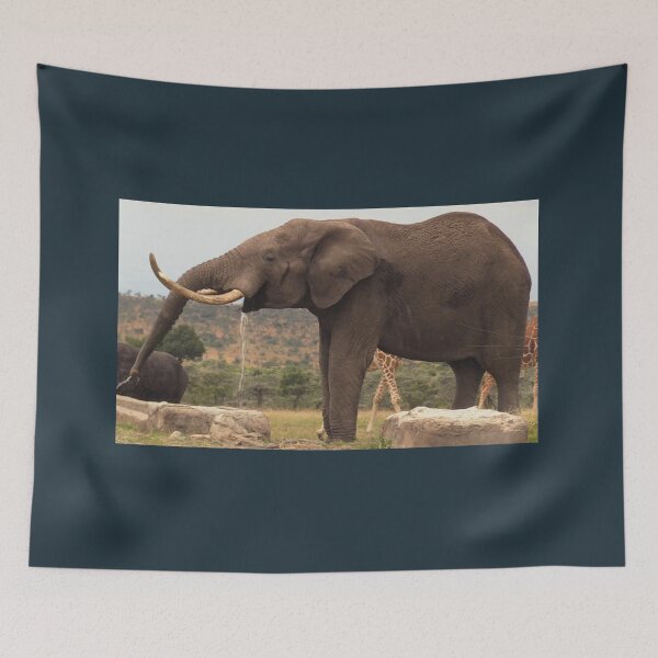 Item preview, Gigantic Elephant on a ranch designed and sold by annenambiro.