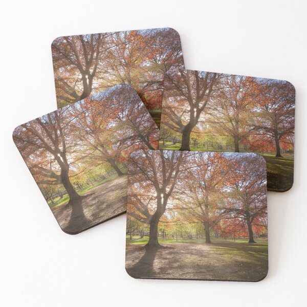 Item preview, Autumn Sunshine in Allegheny Park  designed and sold by brandonbrandon.