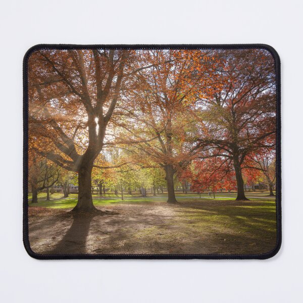 Item preview, Autumn Sunshine in Allegheny Park  designed and sold by brandonbrandon.