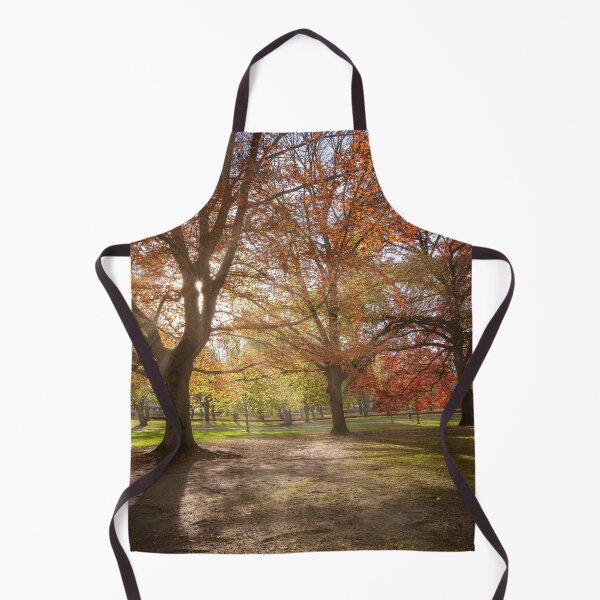 Item preview, Autumn Sunshine in Allegheny Park designed and sold by brandonbrandon.