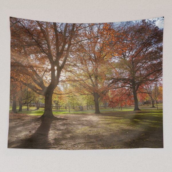 Item preview, Autumn Sunshine in Allegheny Park  designed and sold by brandonbrandon.