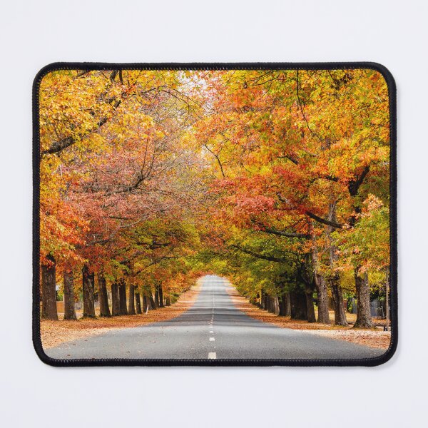 Item preview, Autumn Tunnel designed and sold by Maciej Nadstazik.