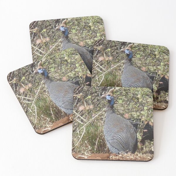 Item preview, Vivid Guinea fowl in Masai Mara National Reserve designed and sold by annenambiro.