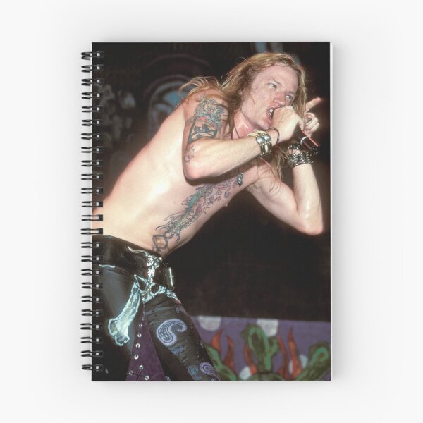 Item preview, Jason McMaster - Dangerous Toys - Photograph designed and sold by ConcertImages.