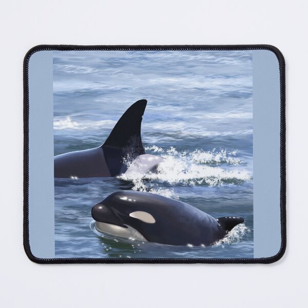 Item preview, Orca designed and sold by Aubree Parkinson.