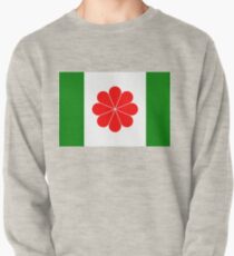 Flag of Independent Taiwan - 臺灣獨立運動 - 台灣獨立運動 - Taiwanese Independence Pullover Sweatshirt