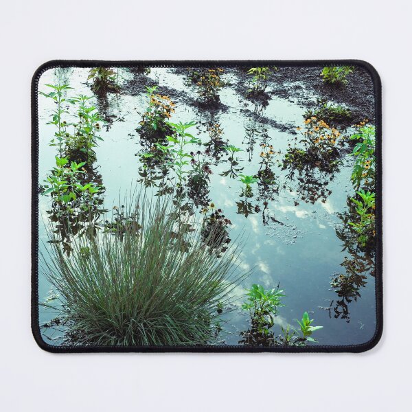 Item preview, Fleeting swamp designed and sold by Joel Bader.