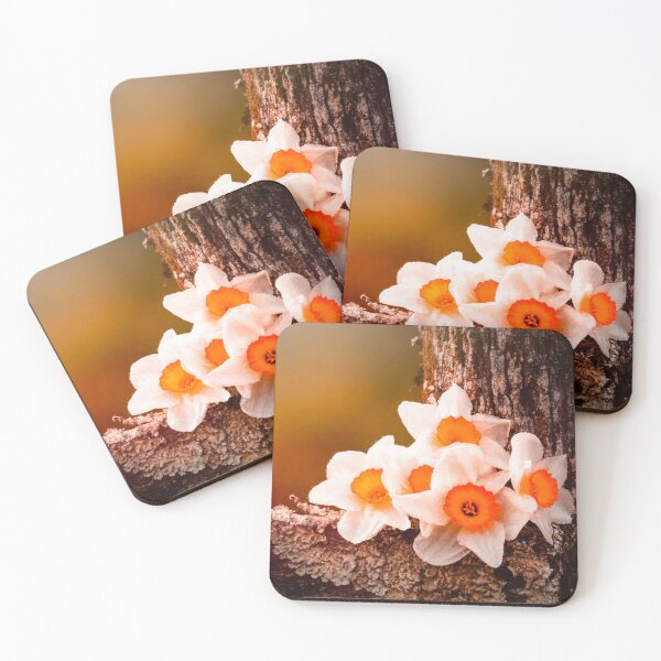 Item preview, Clustered Daffies designed and sold by Jim Love.