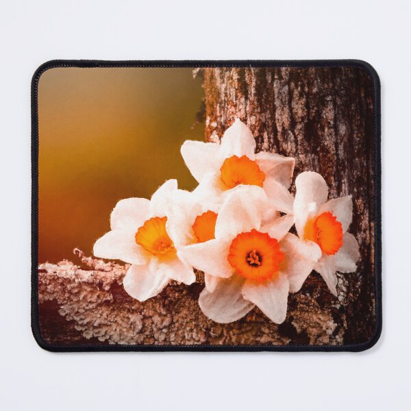 Item preview, Clustered Daffies designed and sold by Jim Love.
