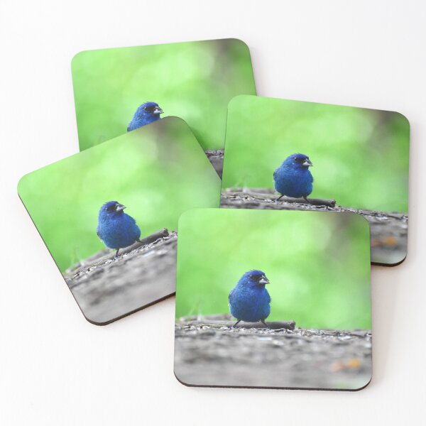 Item preview, Indigo Bunting Blue Bird designed and sold by errinaart.