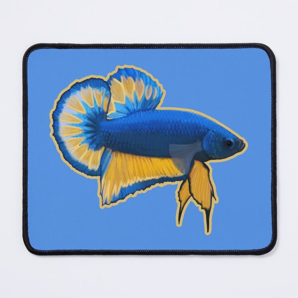Item preview, Blue and Yellow Betta Fish designed and sold by DappledMoon.