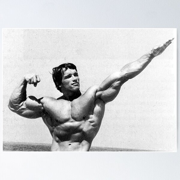 Item preview, Arnold Schwarzenegger designed and sold by amberliepiterso.