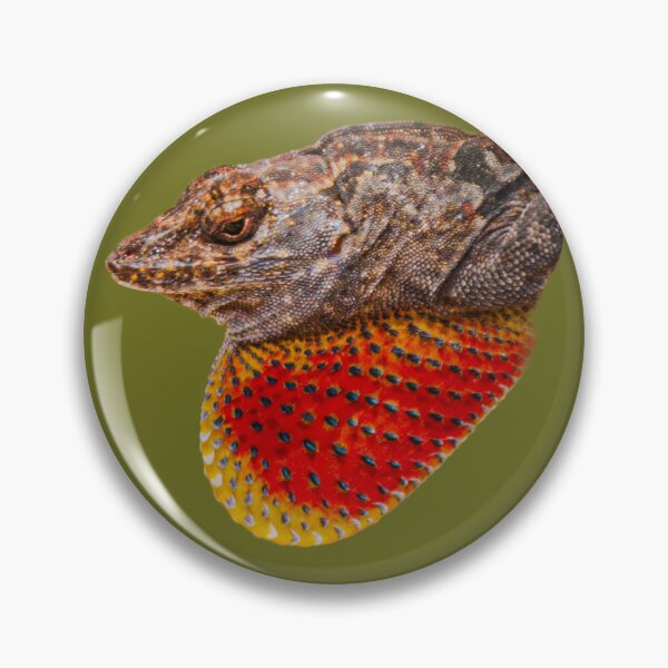 Item preview, Brown Anole lizard showing off his gular flap designed and sold by Dalyndigital Photography.