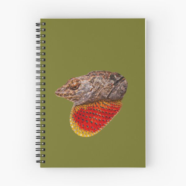 Item preview, Brown Anole lizard showing off his gular flap designed and sold by Dalyndigital Photography.
