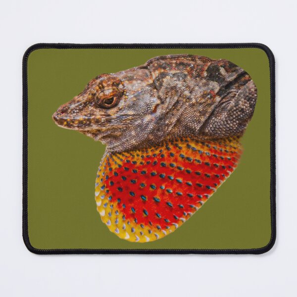 Item preview, Brown Anole lizard showing off his gular flap designed and sold by Dalyndigital Photography.