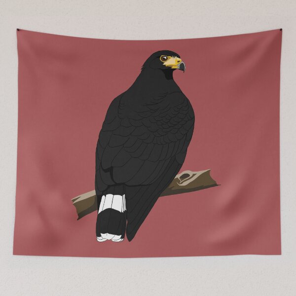 Item preview, Common Black Hawk designed and sold by BennuBirdy.