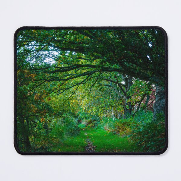 Item preview, Woodland walk designed and sold by Dalyndigital Photography.